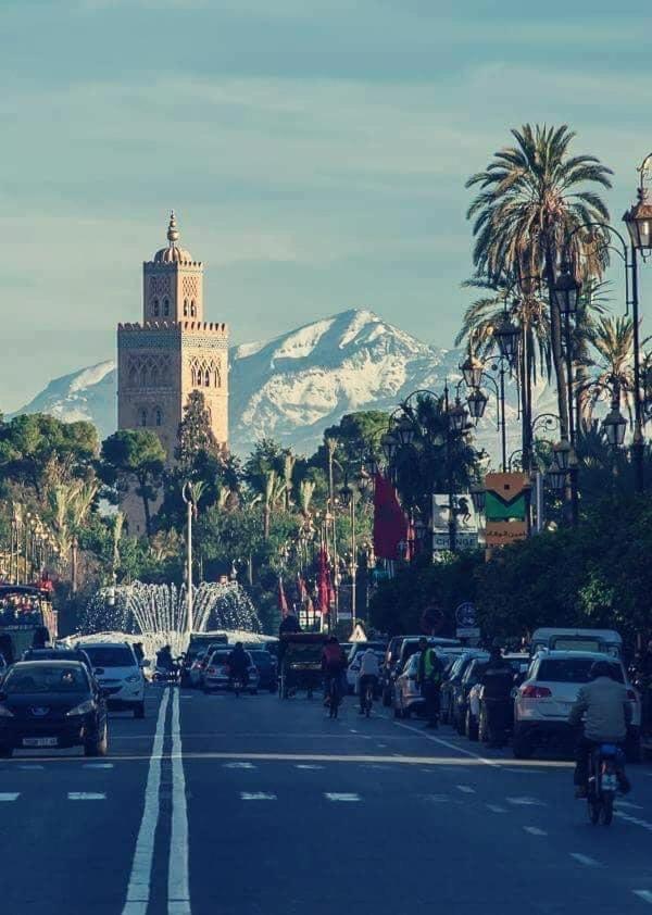 Authentic Moroccan Charm Apartment In Marrakech Terrace Marakéš Exteriér fotografie