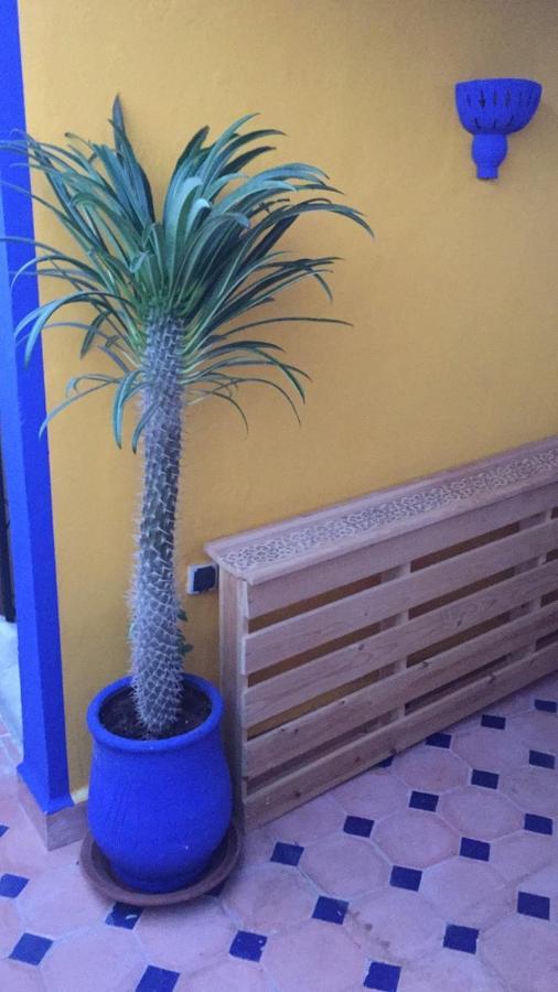 Authentic Moroccan Charm Apartment In Marrakech Terrace Marakéš Exteriér fotografie